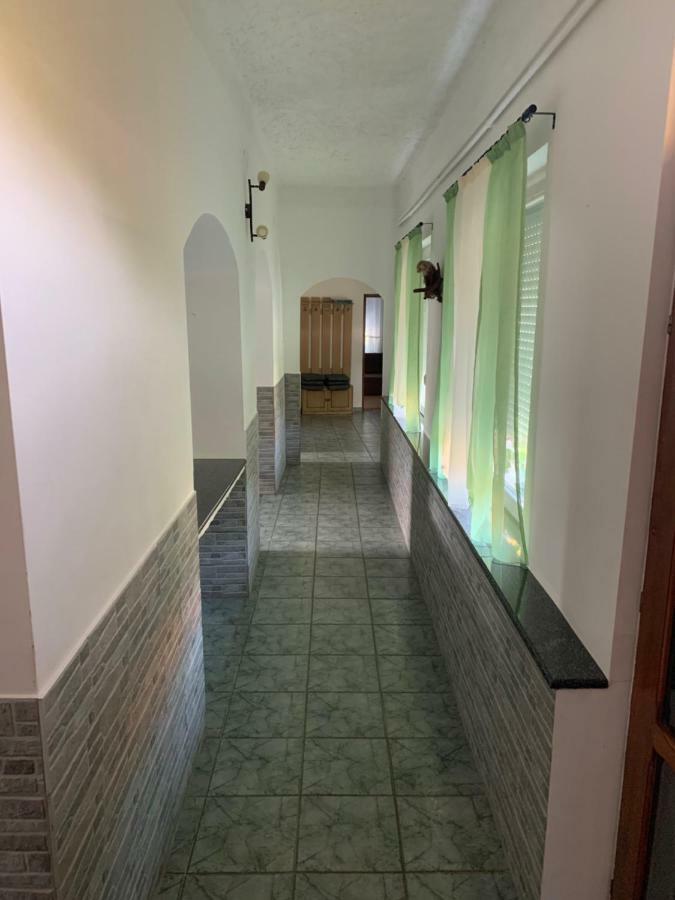 Viktor Apartmanhaz زاماردي المظهر الخارجي الصورة